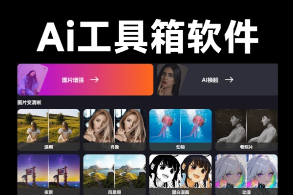一键AI换脸图像变清晰老照片修复黑白照片上色【专属】