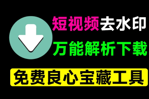 万能短视频去水印下载器含多功能实用工具