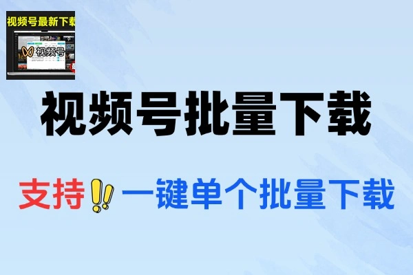 2025最新视频号下载神器支持一键嗅探批量满速下载
