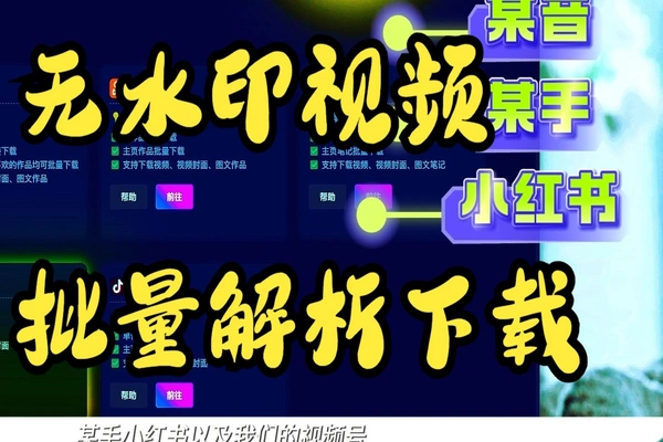 批量解析主页无水印视频一键下载