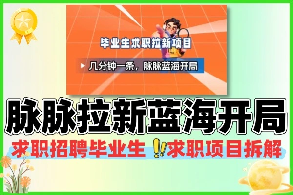 毕业生求职项目拆解脉脉拉新蓝海开局