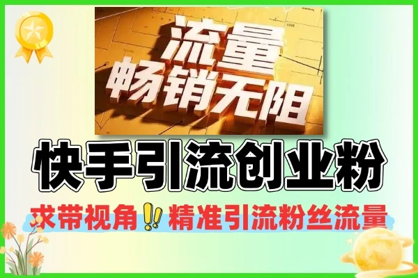 快手求带视角精准引流创业粉精准流量